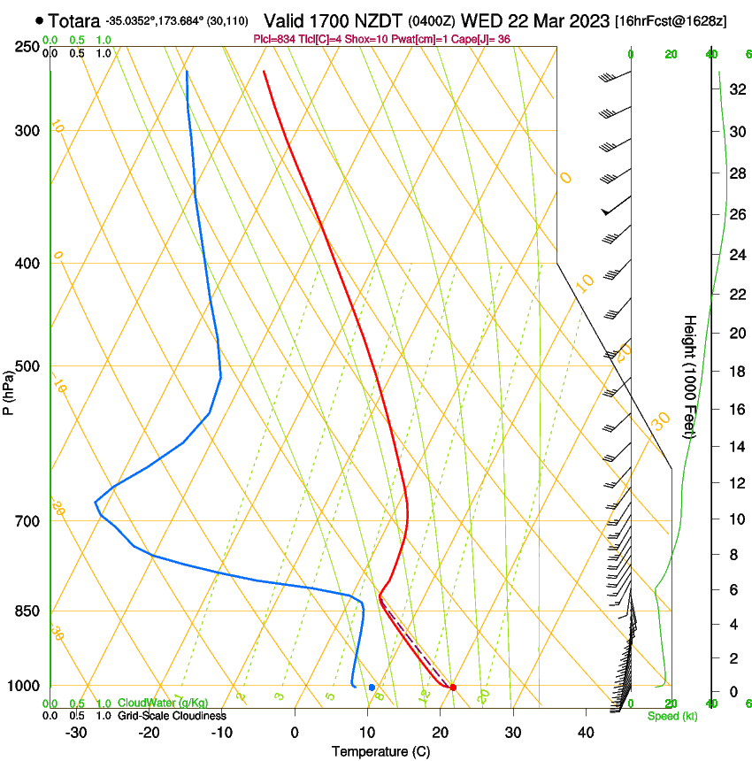 forecast image