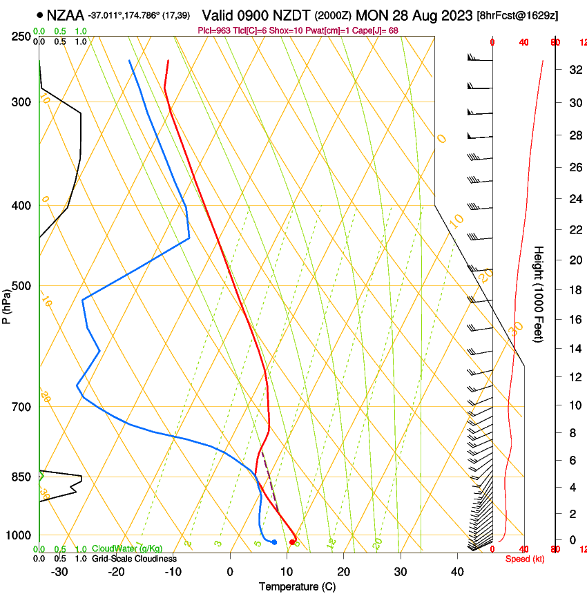 forecast image