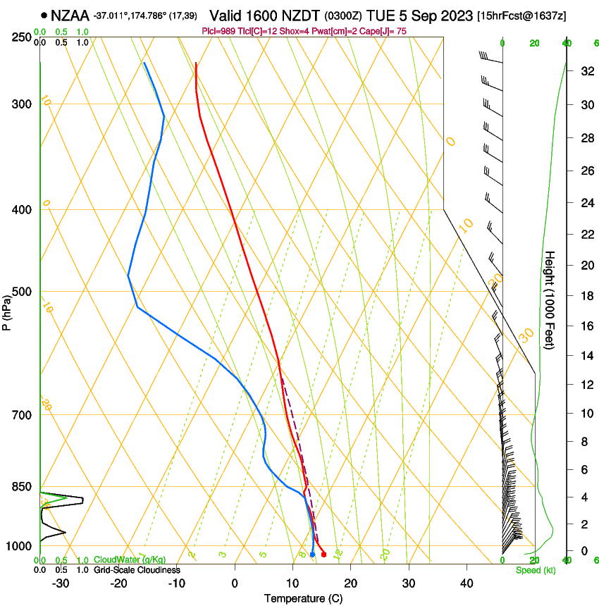 forecast image