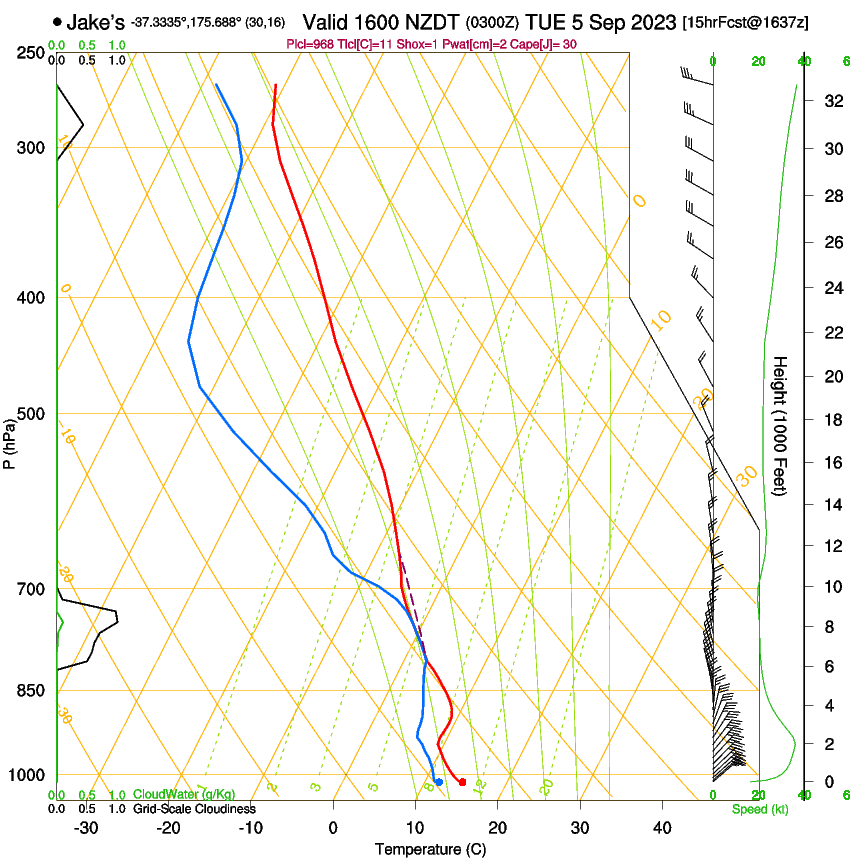 forecast image